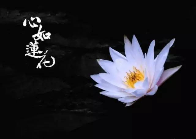 佛说,心如莲花,人生才会一路芬芳