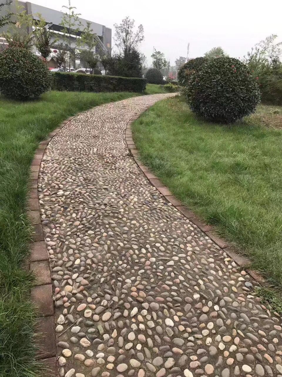 安徽鹅卵石 鹅卵石铺地 鹅卵石造型 铺地石安装