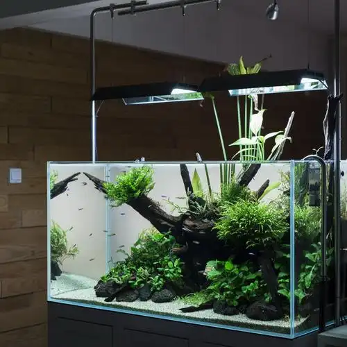 120缸翻缸 - 水草造景 - cta南美水族 - powered by discuz!