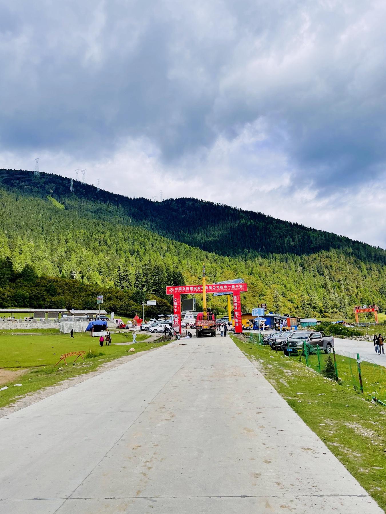 🌲20℃的盛夏秘境!鲁朗林海避暑攻略公开
