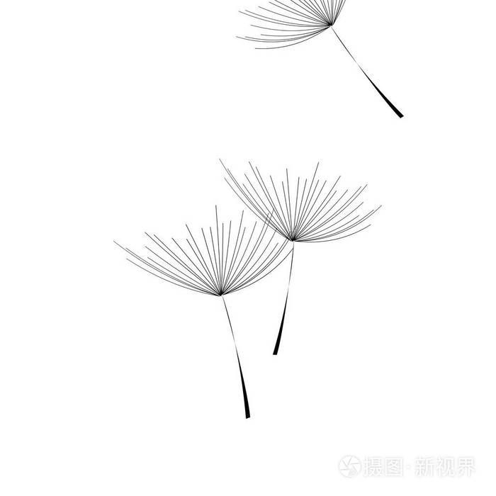 空白背景上的蒲公英绒毛. eps10插画-正版商用图片156uts-摄图新视界