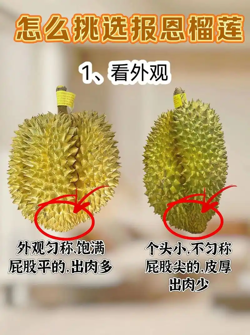 榴莲是一种热带水果,有着浓郁的香气和绵密的果肉,被称为"水果之王"