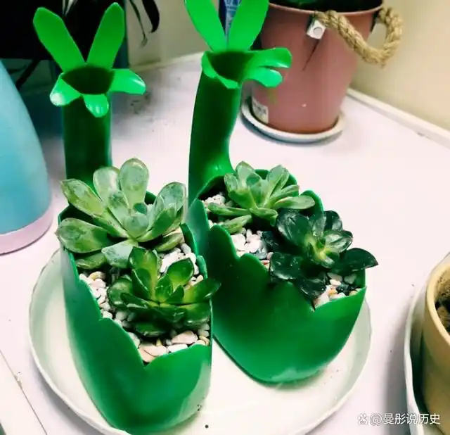 自从囤了这些"垃圾",我连买养花神器的钱都省了