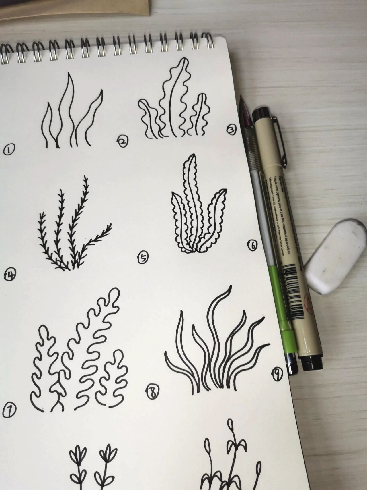 12种海草简笔画画法-原创46