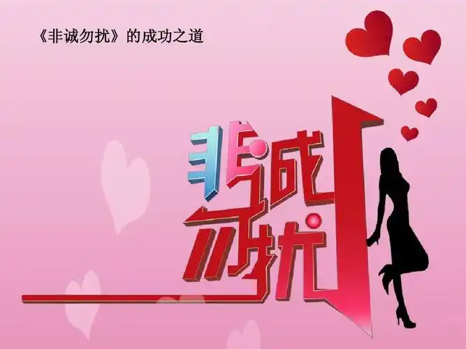 非诚勿扰成功之道ppt