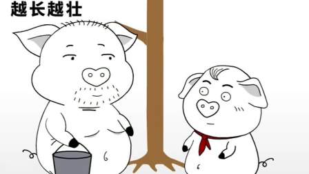 怎么是这个结局,草率了