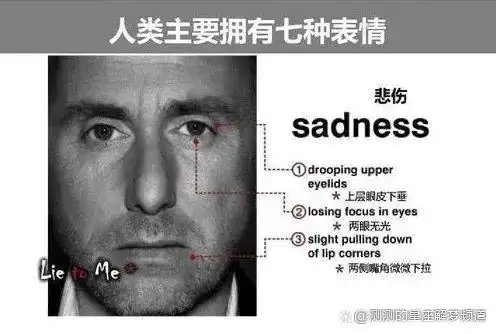 微表情读心术看人准到骨子里