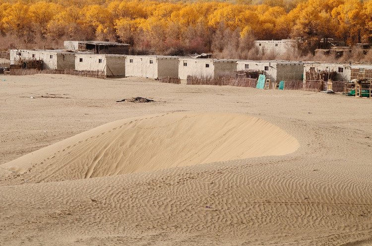 新疆大漠中的突厥野人村