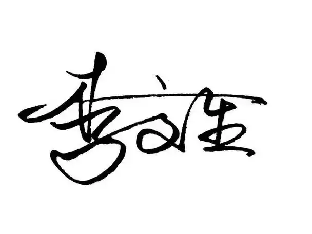 漂亮的签名设计(原创设计艺术签名)5