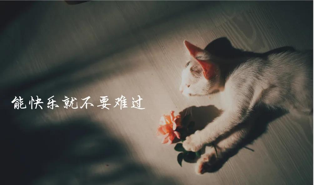 1,这乱七八糟的生活还会好吗?2,该失望的事从来没有辜负过我.