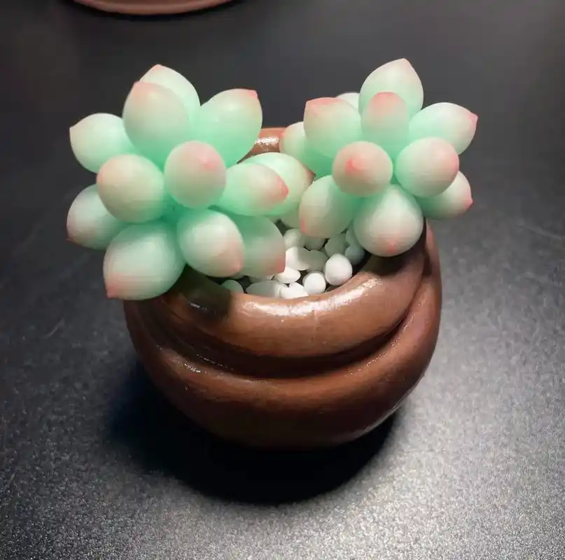 多肉作业合集#超轻粘土手工 #多肉植物 #记录生活中的小美好 - 抖音