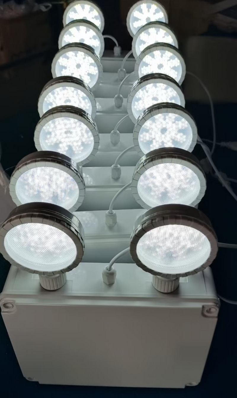 低温-40度应急灯户外防水冷库专用应急双头灯ip65消防应急照明灯