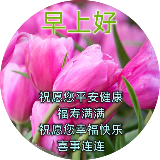 春季祝福早上好祝福语录最新版漂亮早上好问候语祝福表情图片