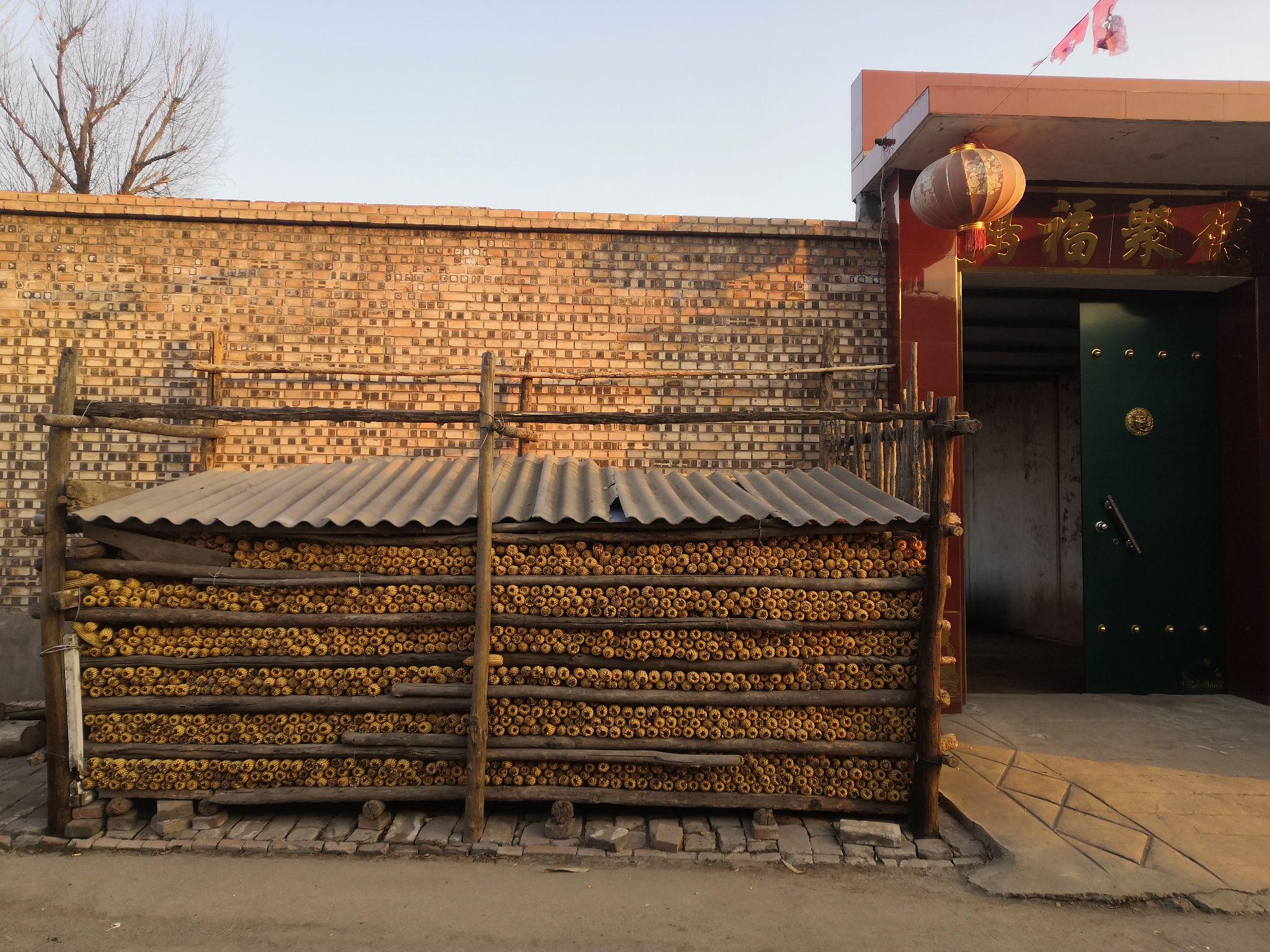 祁县农村玉米笼组图合集大全 越失败越有趣