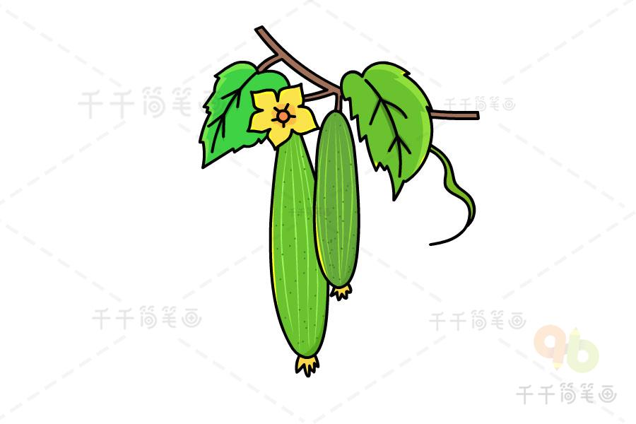 幼儿简笔画丝瓜藤