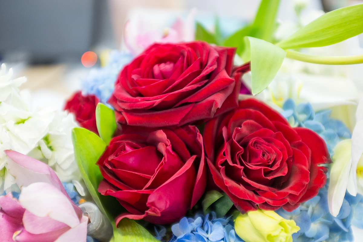 爱情就是最美的玫瑰花,只有雨露滋润才能开得鲜艳.