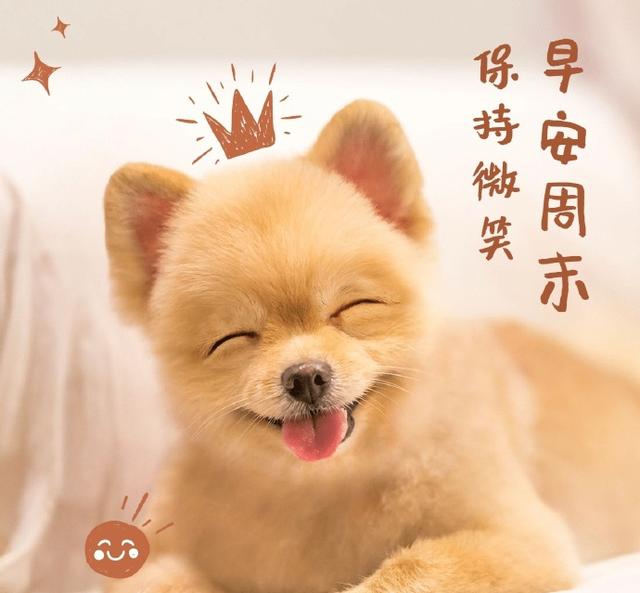 周六清晨最暖心的早安祝福语短信,很漂亮的早上好问候语图片