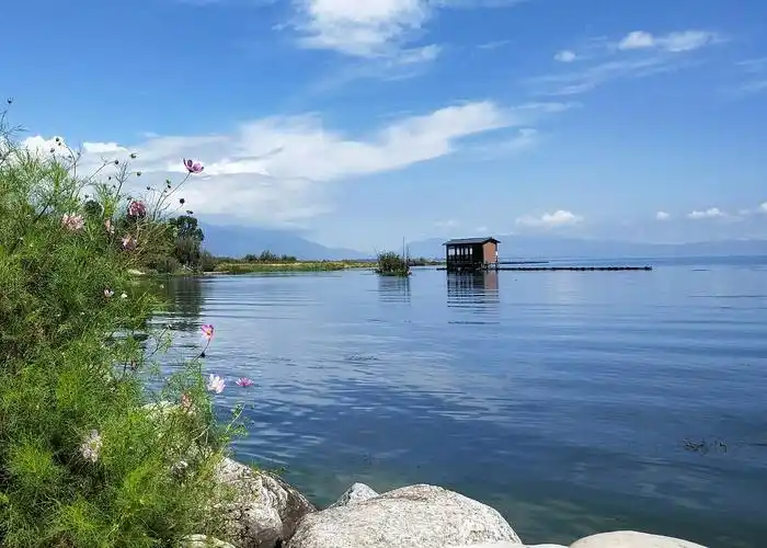 我在大理古城渡过一个凉爽的夏天