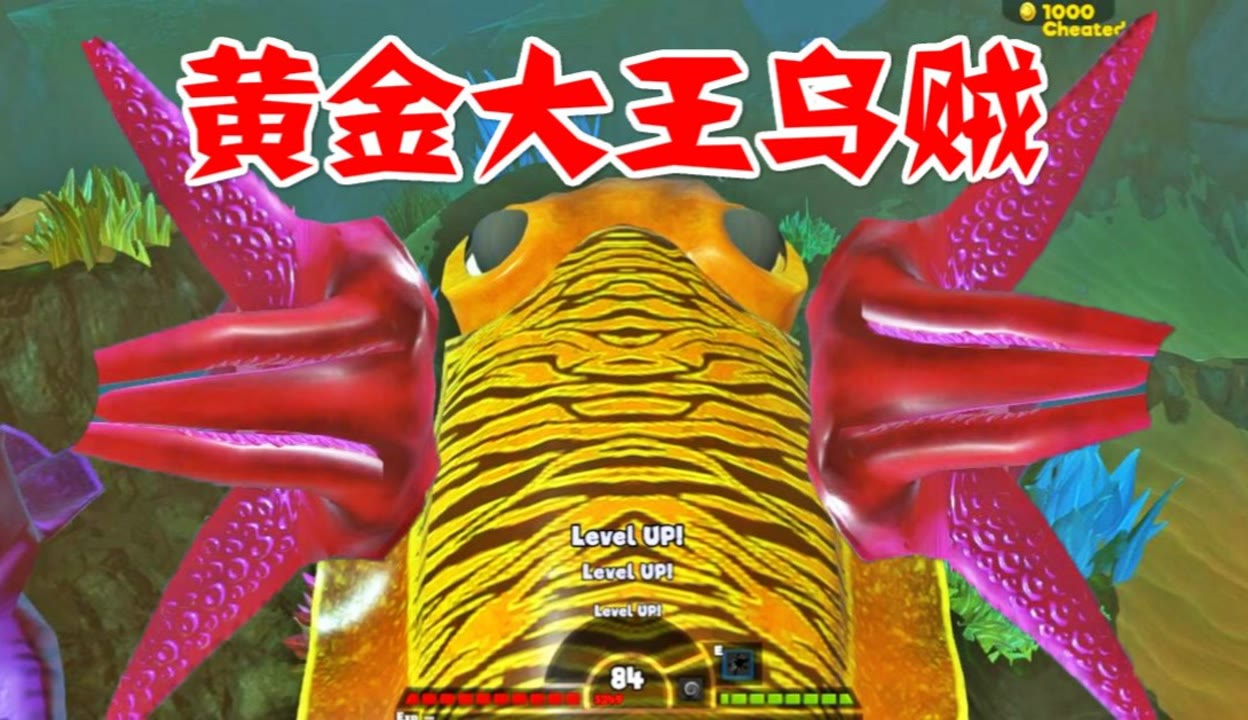 海底大猎杀 奥义小超解说  :沧龙vs黄金大王乌贼