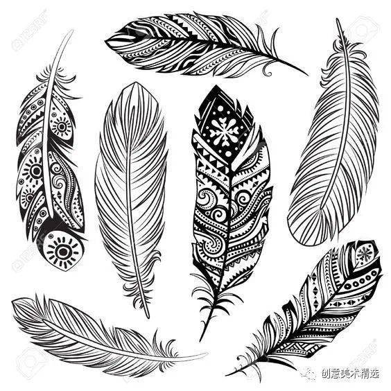 素材分享15张羽毛创意线描作品