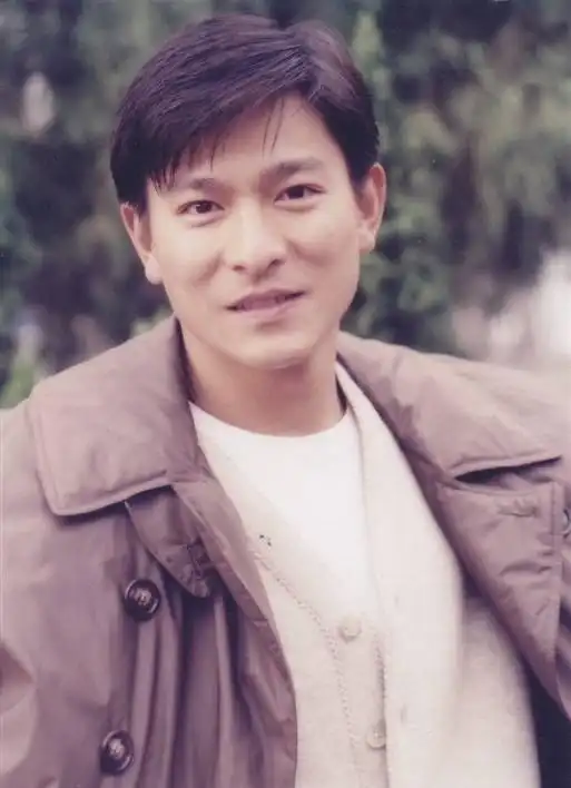 不是梁朝伟赢了刘德华,而是英雄在时势面前终究无奈