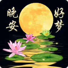 睡前晚安问候祝福图片带字,群发晚上好问候动态表情包_人生