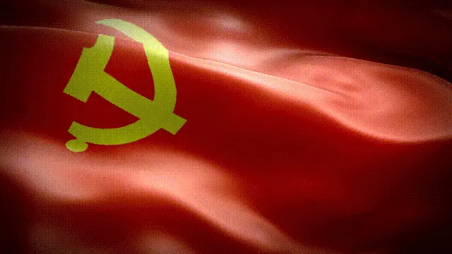 有一种力量叫"党旗所向"有一种信仰叫"不忘初心"有一项宗旨叫"为民