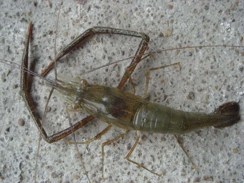 荣耀6 plus卡sd卡_闪电宝plus怎么还信用卡_信用宝钱宝