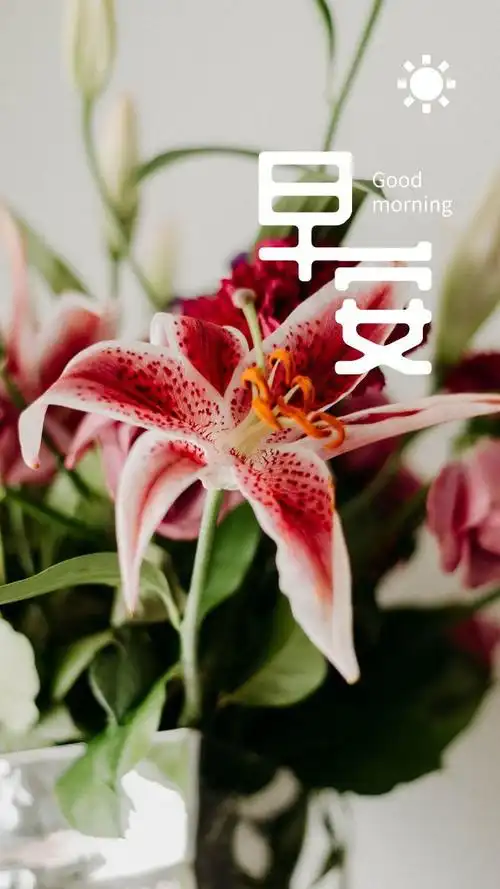 请欣赏,早安图片好美!