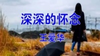 深深的怀念(王爱华演唱,星星点点)