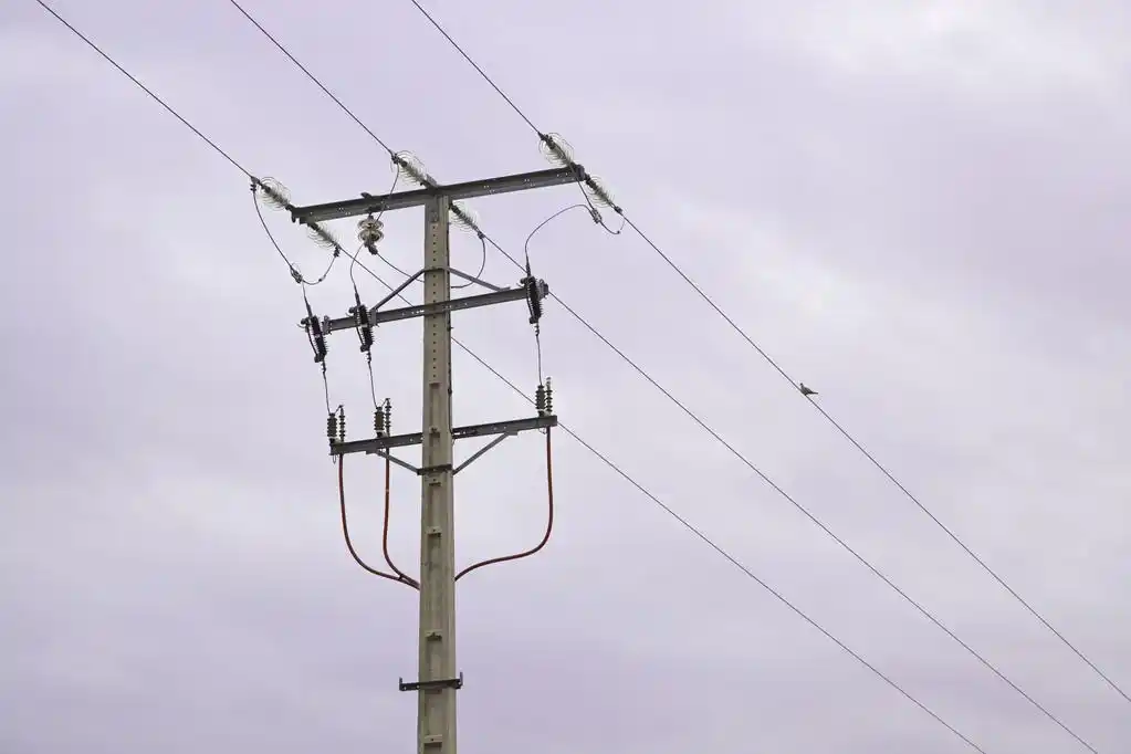 电线杆,柱子,电,特写,鸟,运输,能量