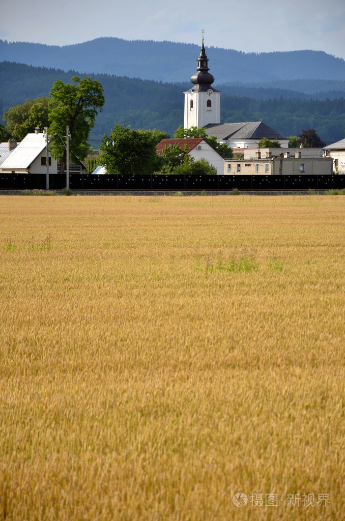 基督教教会作为组成部分的村庄,山林中背景,黄色的谷田,在前景