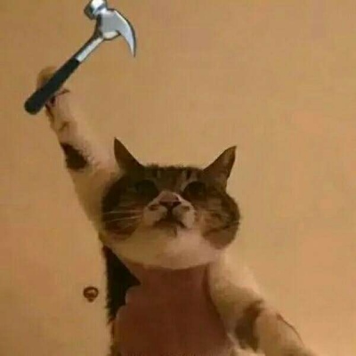 标签:可爱头像,搞笑头像,动物头像