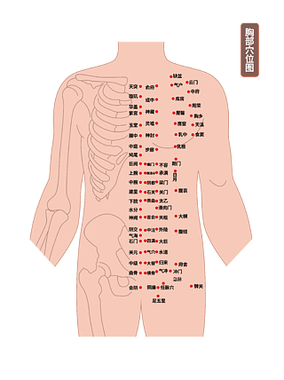 人体胸部穴位医疗插图