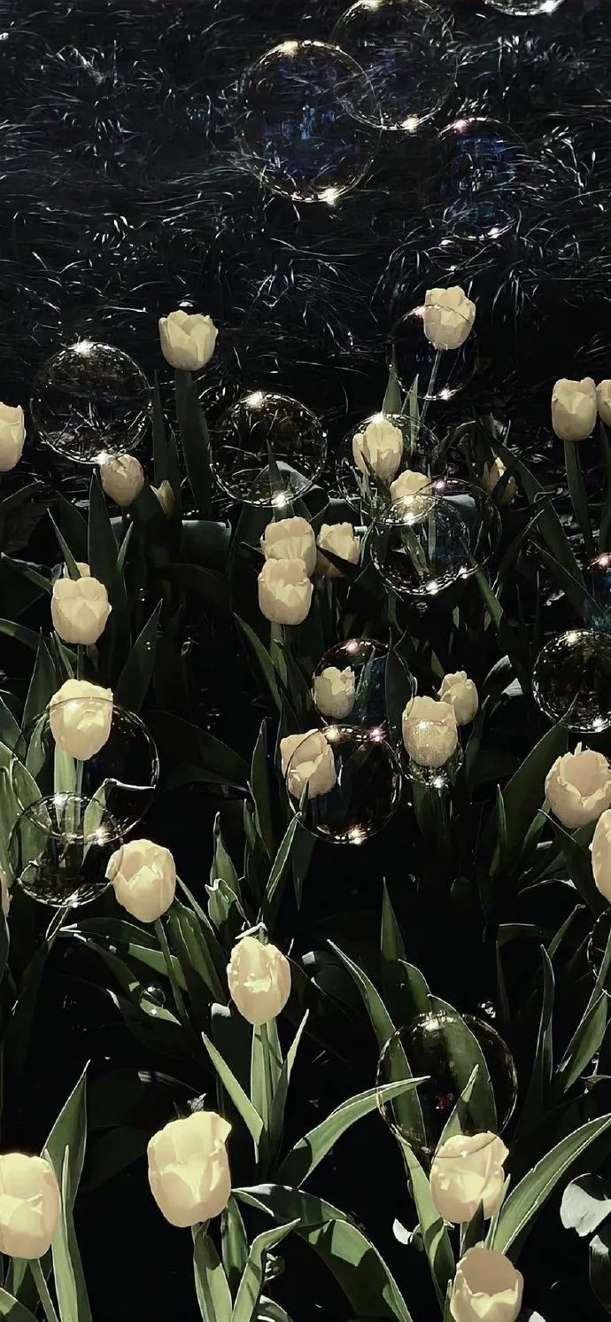 壁纸|很值得称赞的小众锁屏壁纸