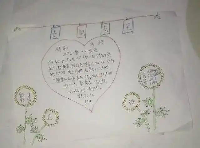 沐浴书香,快乐成长——实小四六班《青铜葵花》手抄报展示