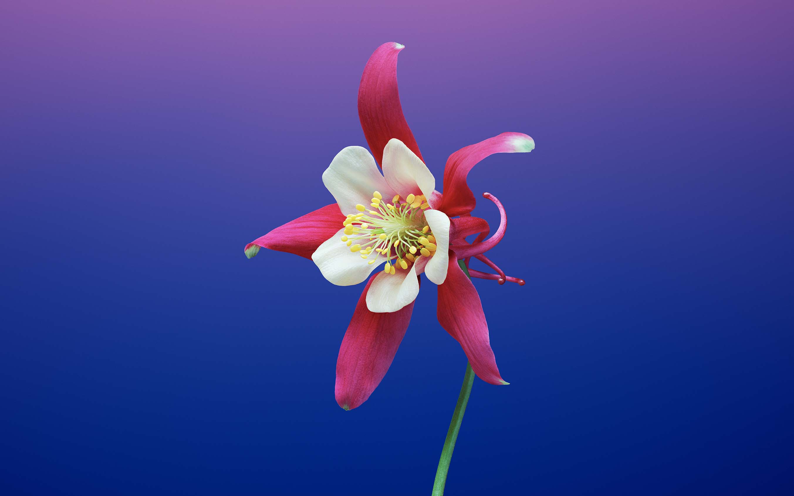 苹果ios11官方系统最新主题桌面壁纸图片