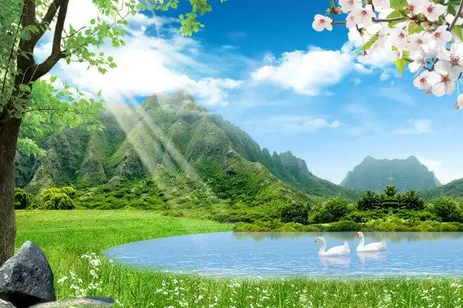 3d立体森林大树壁纸 客厅电视背景墙纸 田园风景无纺布大型壁画.