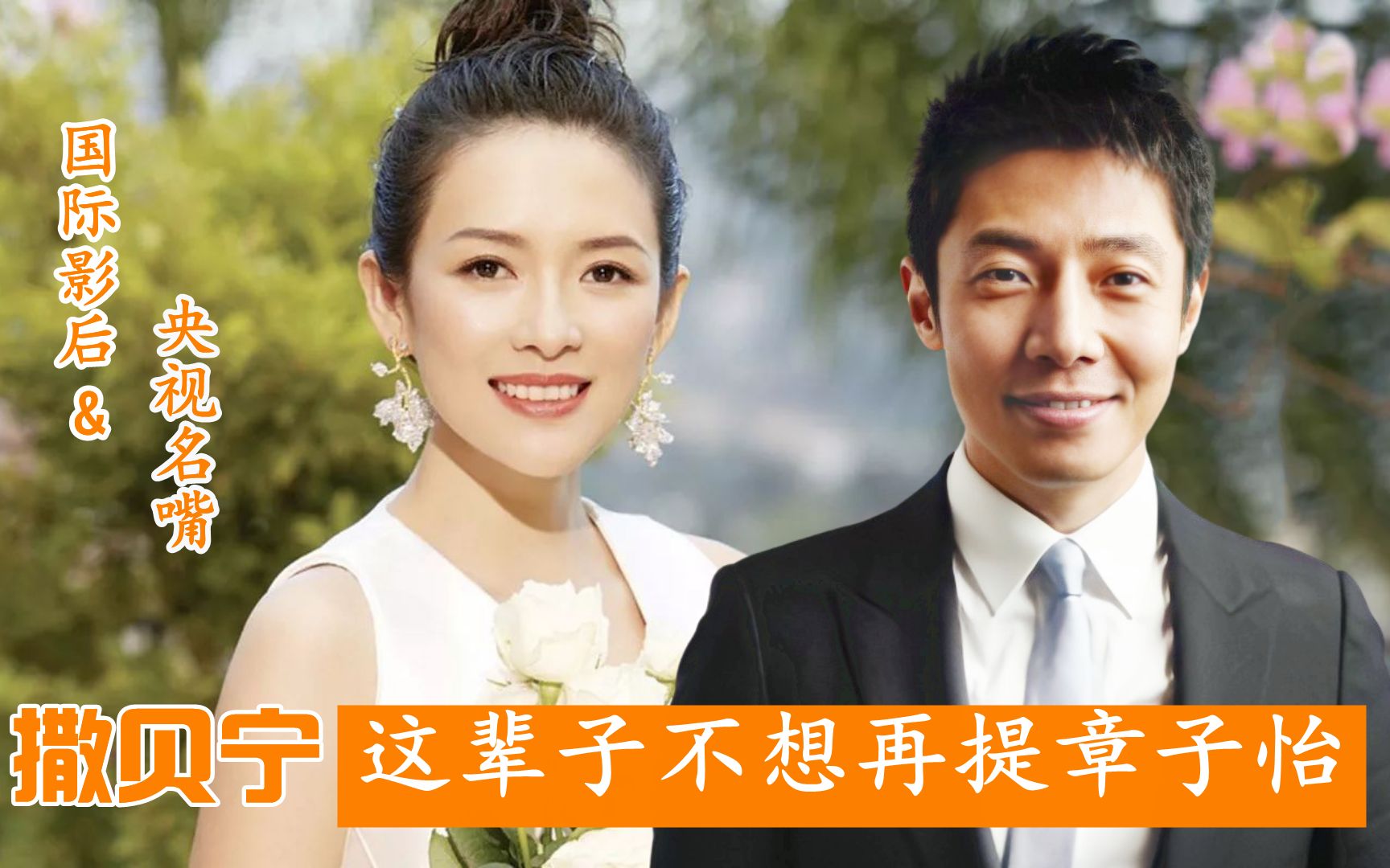 撒贝宁:不想再提章子怡