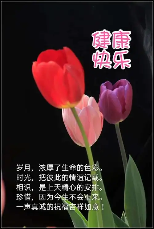 真诚的问候衷心的祝福(晨安帖集锦)