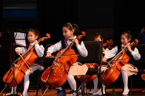 展现自我 成就梦想——徐科实小音乐学科成果巡礼