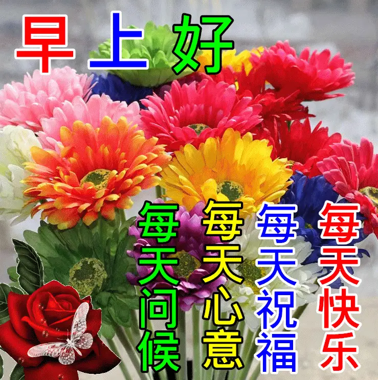 原创7张秋日最新特漂亮早上好鲜花图片带祝福语2021最美早安问候动态