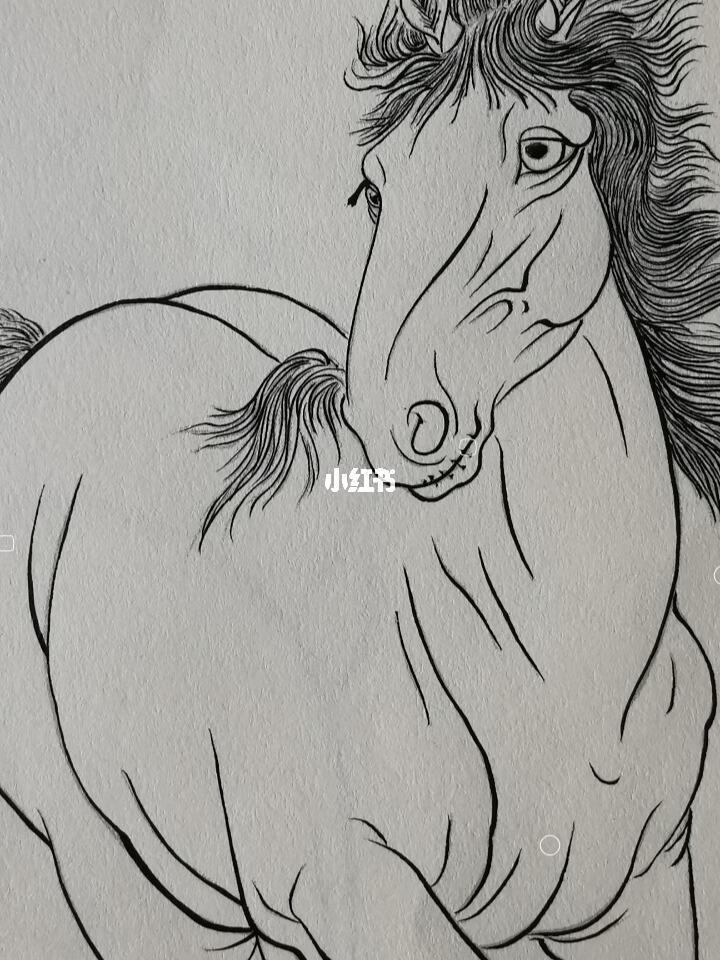 画画  #白描  #国画  #工笔  #绘画  #绘画日常