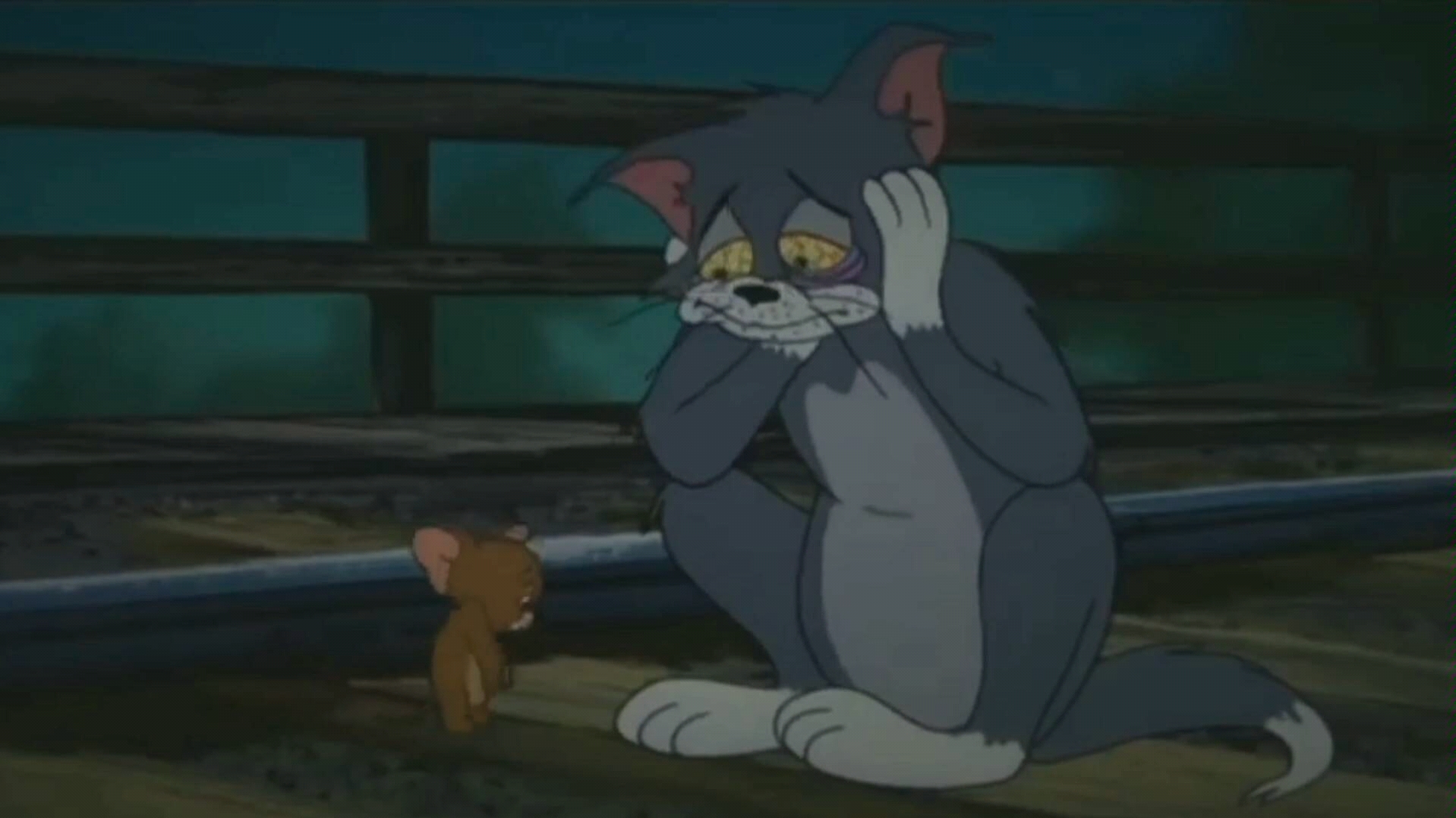 汤姆猫失恋伤心"substance"物质的爱情