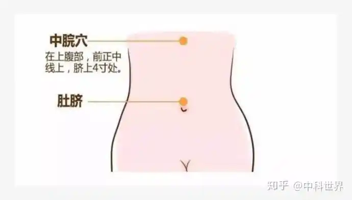 肚脐敷姜的功效与作用女士肚脐位置敷姜片有什么用