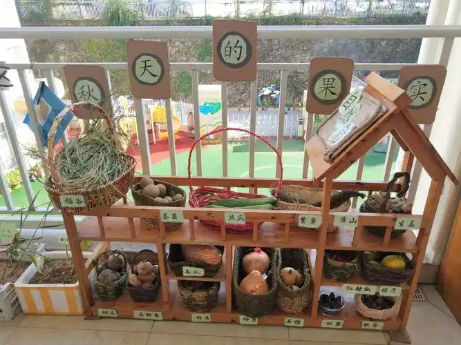 青青小角落,悠悠大自然——鹏祥幼儿园自然角评比活动