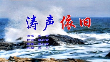 涛声依旧毛宁原唱老歌超清影音建议投屏电视欣赏