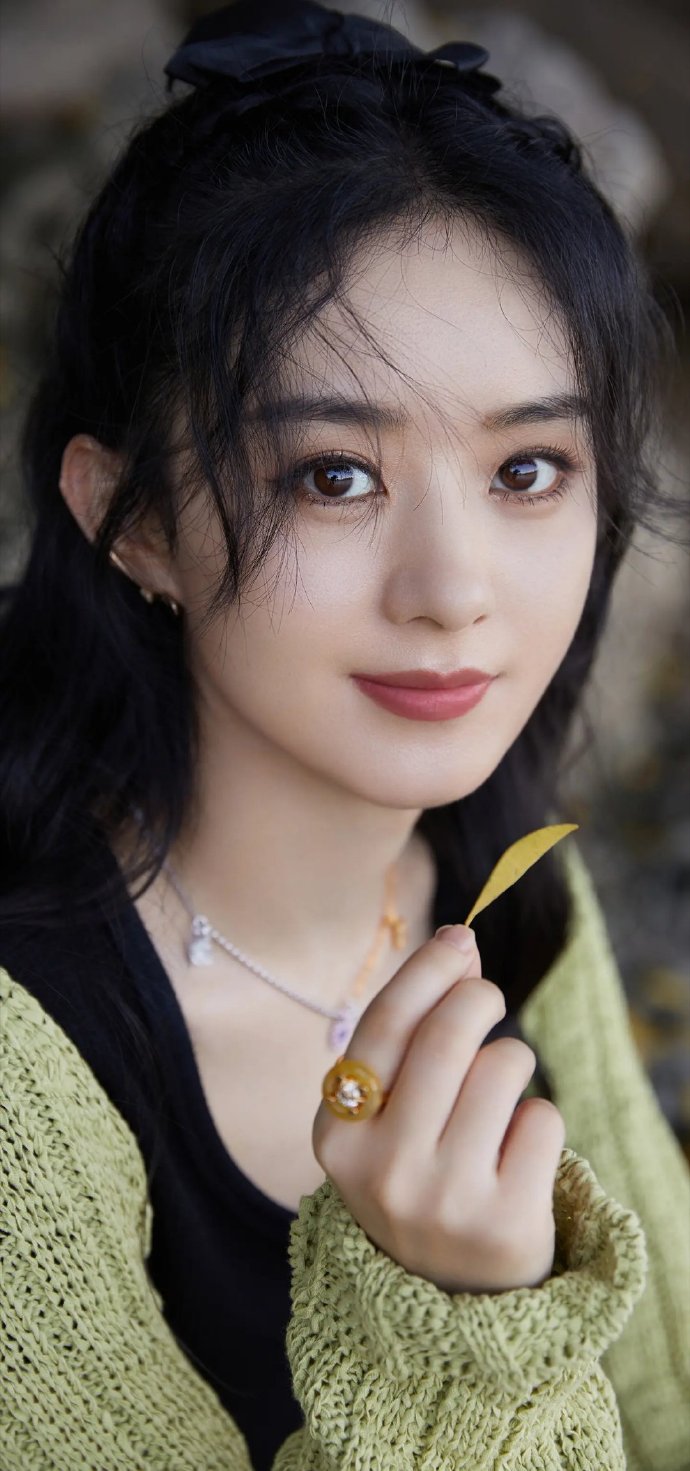 马丽言论 赵丽颖简介