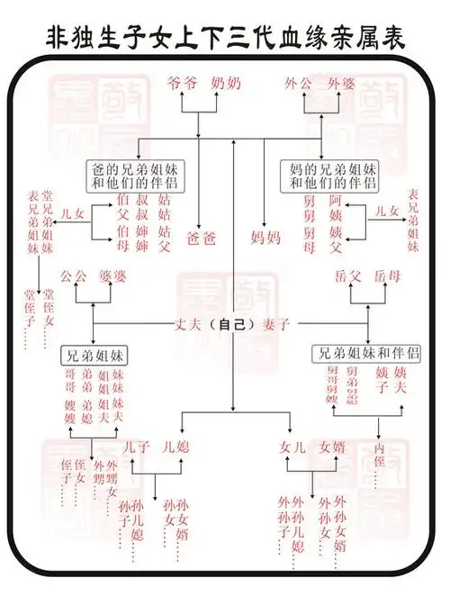 独生子女和非独生子女的血缘亲属区别