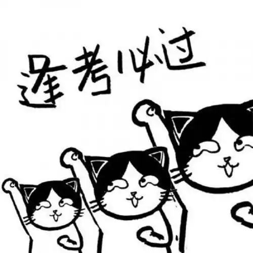 卡通猫头像卡通猫表情包加油逢考必过